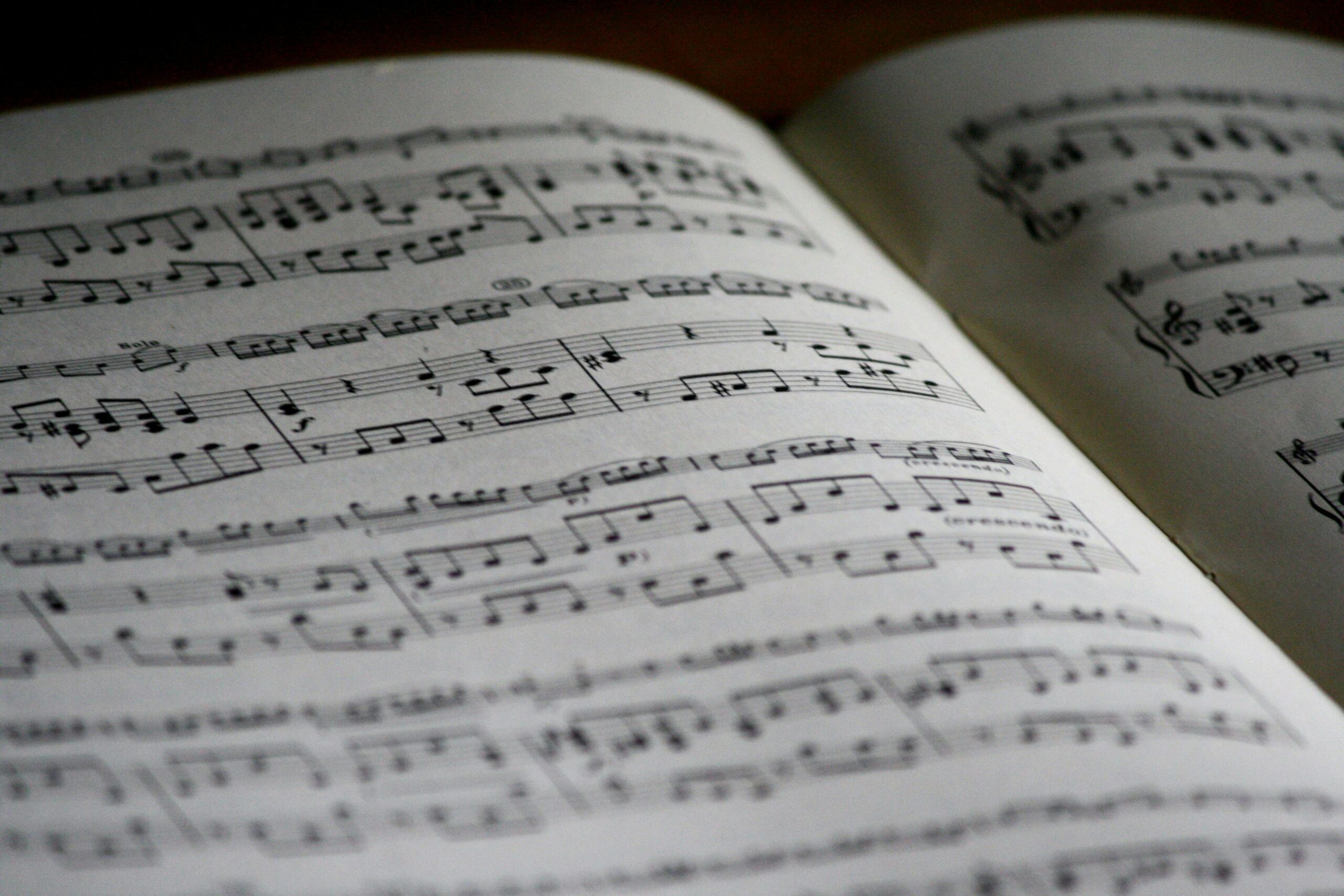 Musicca, le professeur de théorie musicale gratuit qui s’invite dans votre navigateur