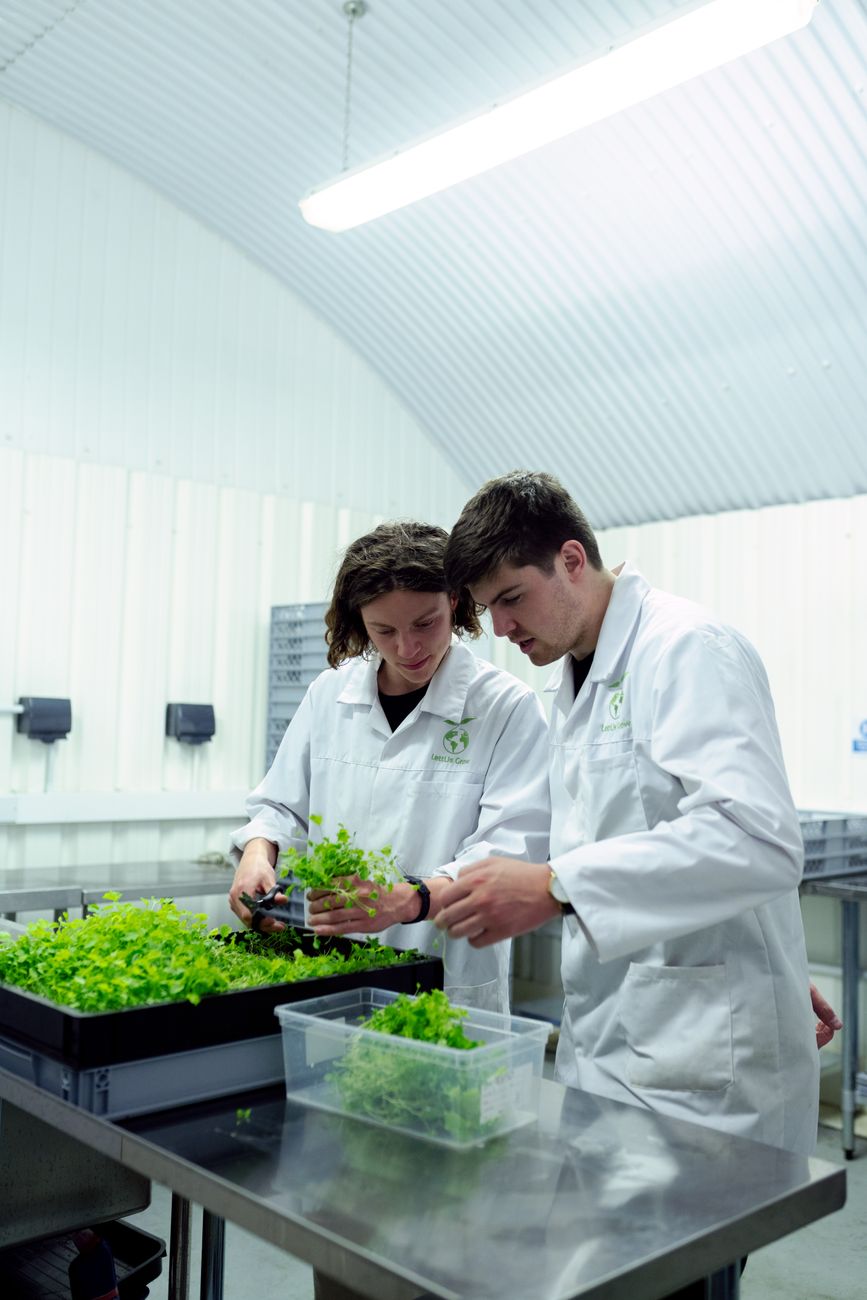 Des laboratoires aux plantations : les technologies qui transforment la sélection végétale